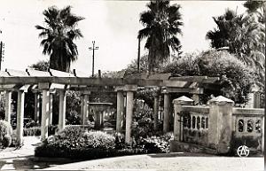 Hammam bou hadjar 528- Jardins COLLECTION DES AMIS DE ND DE SANTA CRUZ